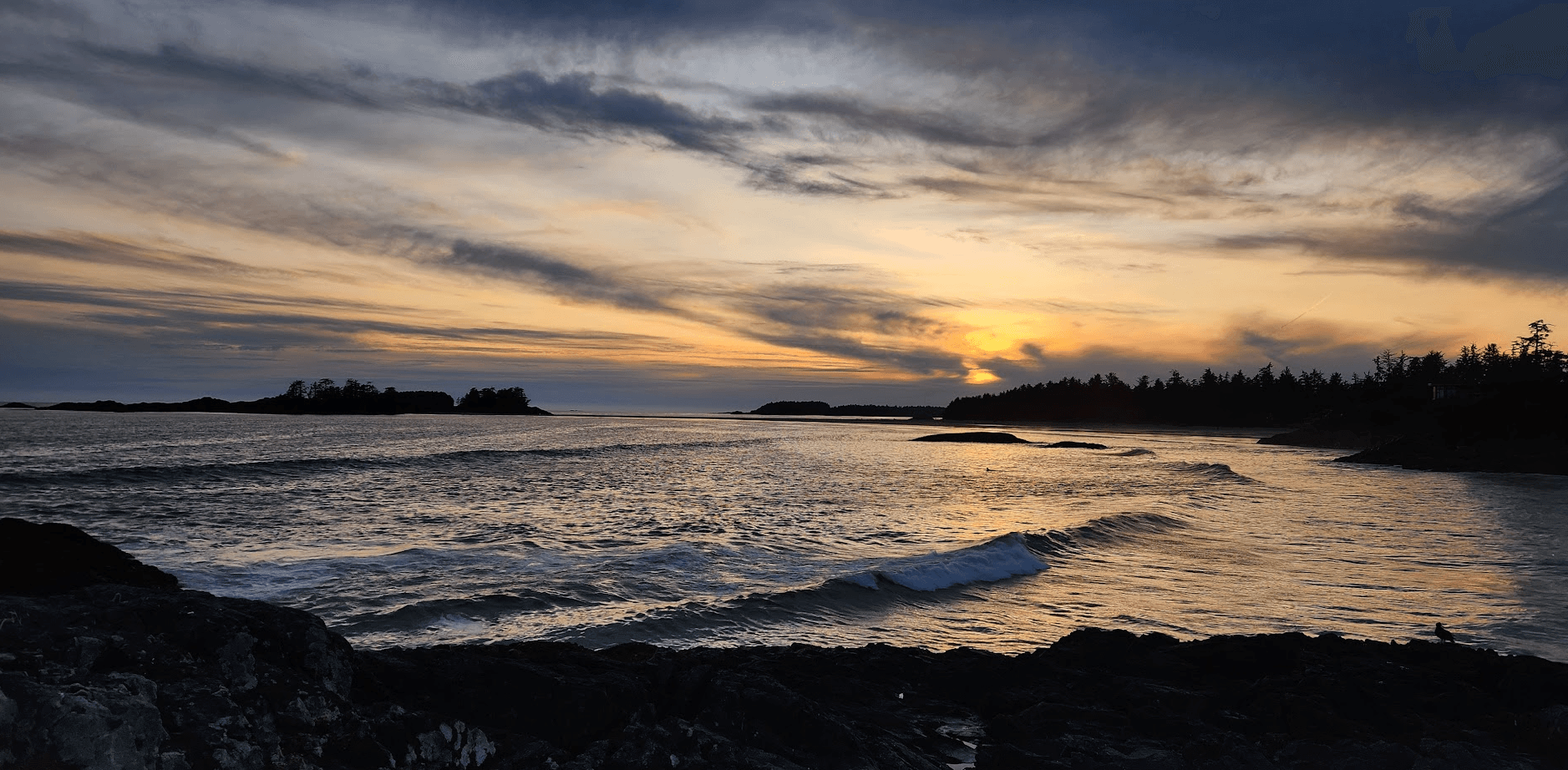 Vancouver, Tofino & Whistler: The Accidental Perfect Family Trip